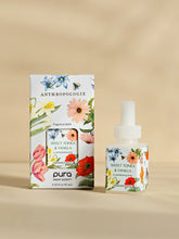 Sweet Tonka & Vanilla