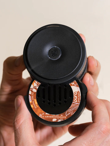 Pumpkin & Sweet Vanilla