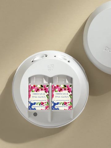 Hibiscus & Pink Guava