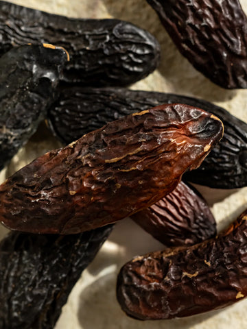 Sweet Tonka & Vanilla