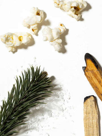 Mickey Christmas Fireside Feeling